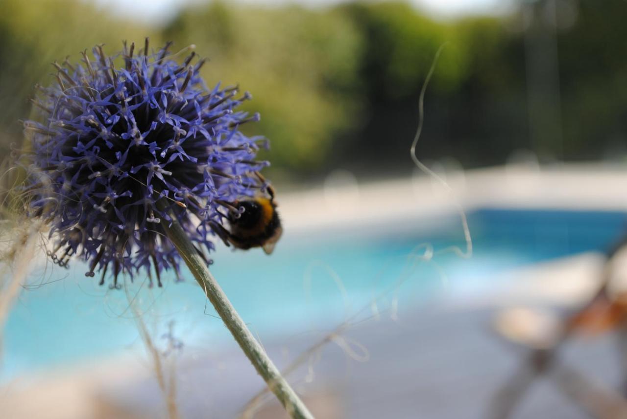 Eco-Gite - Domaine De La Gavolerie Bessé-sur-Braye Εξωτερικό φωτογραφία