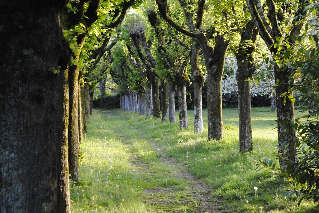 Eco-Gite - Domaine De La Gavolerie Bessé-sur-Braye Εξωτερικό φωτογραφία